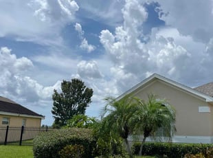Bush Trimming by Deidra James for Adrian B. in Kissimmee, FL