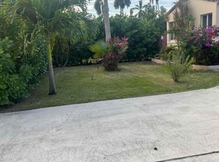 Sheryl P.'s Lawn Service service result