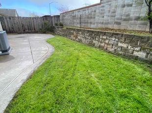 Steve S.'s Lawn Mowing Service service result