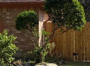 Bush Trimming by Austin Farley for Jeanie W. in Spring, TX
