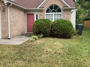 Bush Trimming by Joel Laumas for Faiyad M. in Lexington, KY