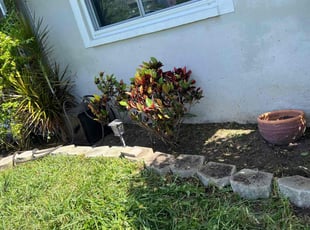Weeding by Felipe Dothe for LaTosha T. in Clearwater, FL