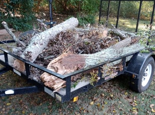 Cleanups by Damion Forney for Verda A. in Davidson, NC