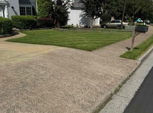 Tanya L S.'s Lawn Mowing service result