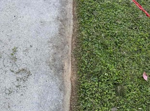 Irina J.'s Lawn Service service result