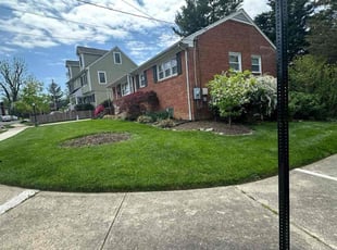 Frederick M.'s Lawn Mowing service result