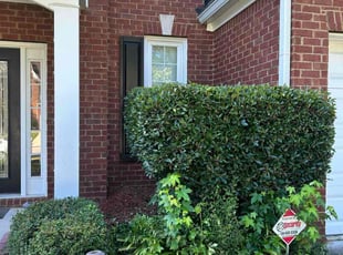Bush Trimming by Dutch Lawn Care for Brandon D. in Lawrenceville, GA
