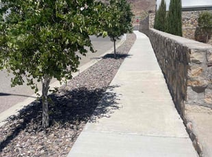Weeding by Arturo Lopez for Christopher A. in El Paso, TX