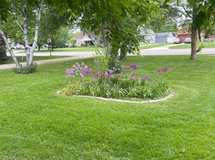Cleanups by Kyle Yacko for Tyler M. in Roseville, MI