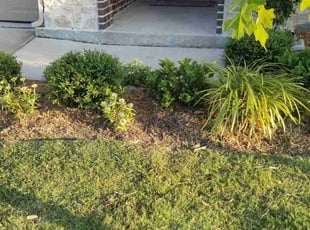Weeding by Joshua Daley for Shandi N. in Rockwall, TX