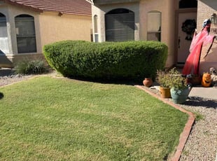 Bush Trimming by John Cross for Andrew N. in Phoenix, AZ