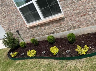 Bush Trimming by Joshua Cox for Kathie Z. in Oklahoma City, OK