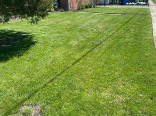 Adam S.'s Lawn Mowing service result