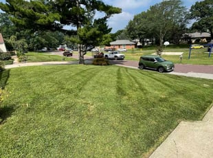 Weeding by Brian Braby for Lisa K. in Kansas City, MO