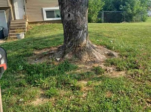 Cleanups by Charles Ridge for Libby G. in Kansas City, KS