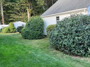 Mary Grace T.'s Grass Cutting service result