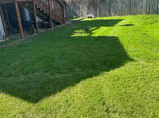 Amy M.'s Lawn Care service result