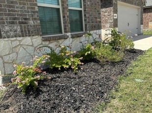 Weeding by Abel Baeza for Michael C. in Princeton, TX