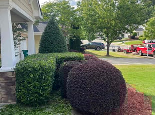 Bush Trimming by Louis Sampson for Heather T. in Mableton, GA
