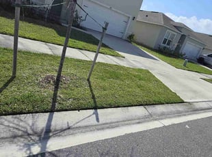 Connie M.'s Lawn Maintenance service result