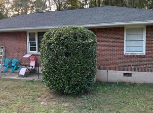 Bush Trimming by Thytrone McCord for Tearria L. in Decatur, GA