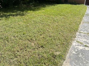 Cleanups by Keith Dillard for Jessica D. in Richmond, VA