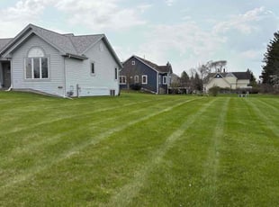 Matthew L.'s Lawn Service service result