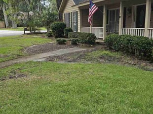 Bush Trimming by Jason Hughes for Michael K. in Savannah, GA