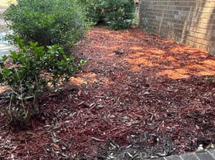 Weeding by Brittney Pelfrey for Marilyn J. in Hephzibah, GA