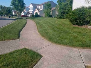 Cleanups by Mike Jewell for Michael C. in Columbus City Township, OH
