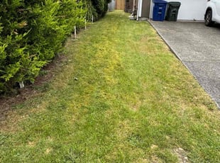 Charles B.'s Lawn Maintenance service result