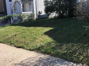 Kimberly L.'s Lawn Maintenance service result