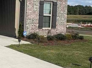 Weeding by Erik Ware for Raven K. in Madison, AL