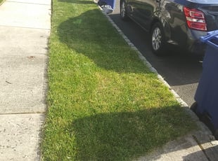 Bush Trimming by Stanley Morgan for Jake H. in Mount Holly, NJ