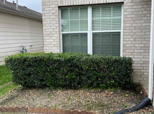 Bush Trimming by Brandon Bowers for Deanna W. in Missouri City, TX