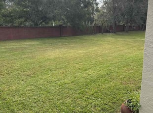 Joseph K.'s Lawn Mowing service result