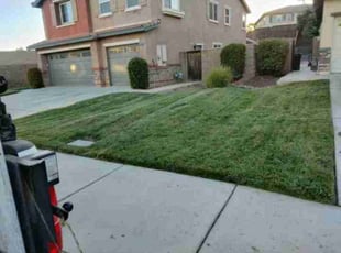 Aiden P.'s Grass Cutting service result