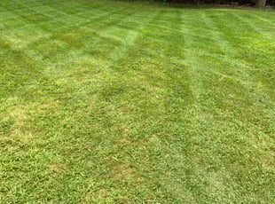 Julie E.'s Yard Cutting service result