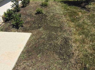 Weeding by Thomas Rodriguez for Macy N. in Kyle, TX