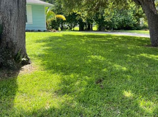 Jerry S.'s Lawn Mowing service result