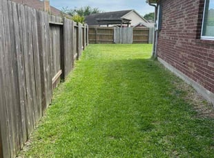 Leaf Removal by Ana Zelaya for Reginald S. in Richmond, TX