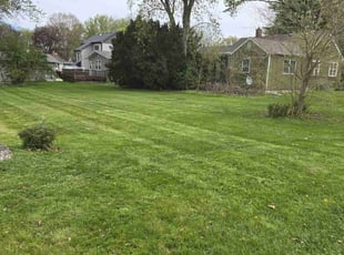 Doug P.'s Lawn Mowing service result
