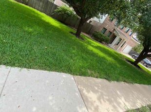 Hollis D.'s Lawn Mowing Service service result
