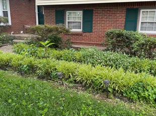 Bush Trimming by Jose Altamirano Diaz for Sarah C. in Louisville, KY