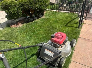 Lorelei C.'s Lawn Mowing service result