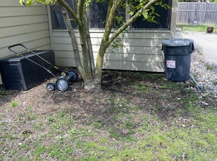 Leaf Removal by Robert Wilkins Jr for Tanya S. in Carmel, IN