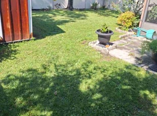 Andrew L.'s Lawn Mowing service result