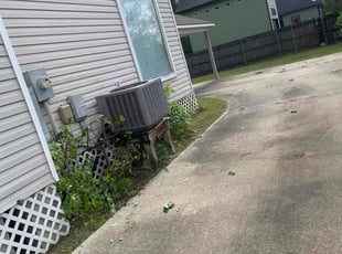 Bush Trimming by Carl George for Shauna L. in Baton Rouge, LA