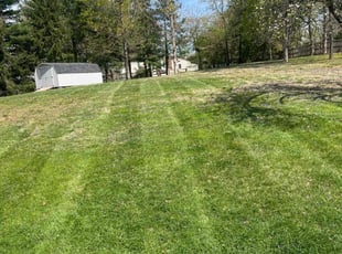 Sydney R.'s Yard Cutting service result