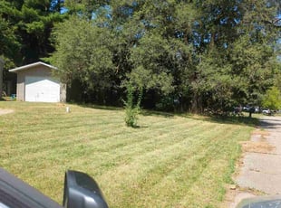 Carlton C.'s Lawn Care service result
